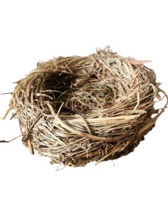 Hnízdo seno-proutí, průměr 15cm natur