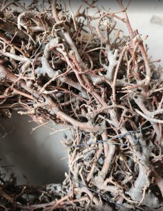 Věnec Divoký Bonsaj přírodní 30cm 2