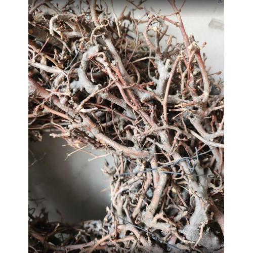 Věnec Divoký Bonsaj přírodní 30cm