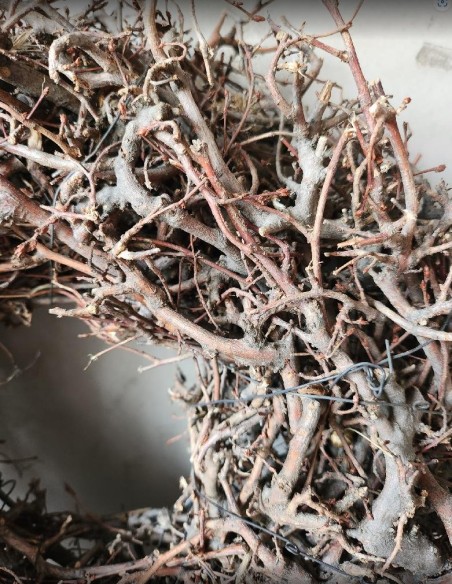 Věnec Divoký Bonsaj přírodní 30cm