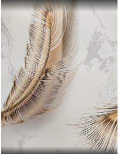 Dárková taška pírka 2