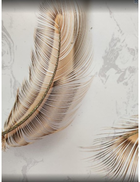 Dárková taška pírka