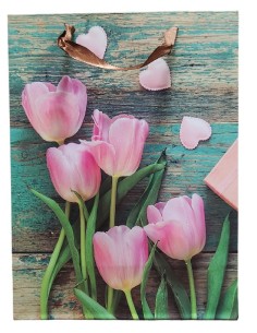 Dárková taška s tulipány