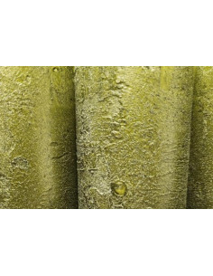 Adventní svíčky zelené se strukturou, sada 4ks 2