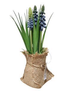 Kytička modřenců v obalu z pytloviny