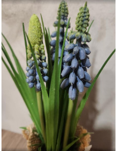 Kytička modřenců v obalu z pytloviny 2