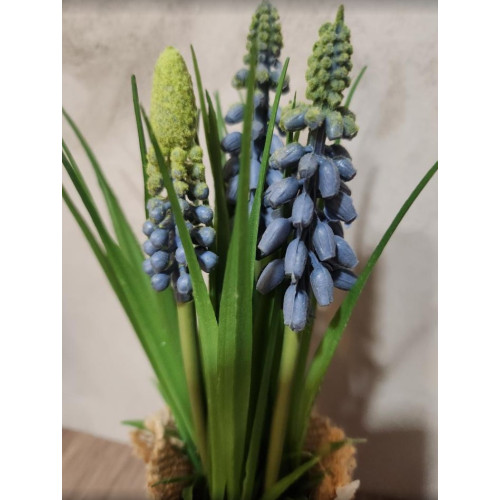 Kytička modřenců v obalu z pytloviny