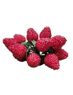 Maliny umělé, svazek 12ks