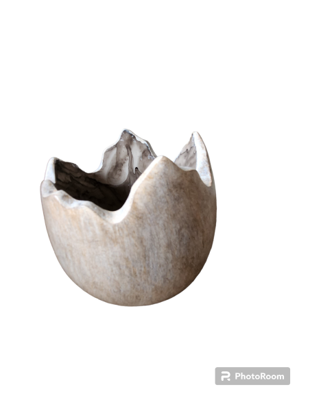 Skořápka polyresin 13cm natural