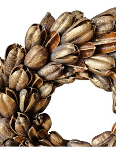 Věnec sušina lusky  zlatá 2